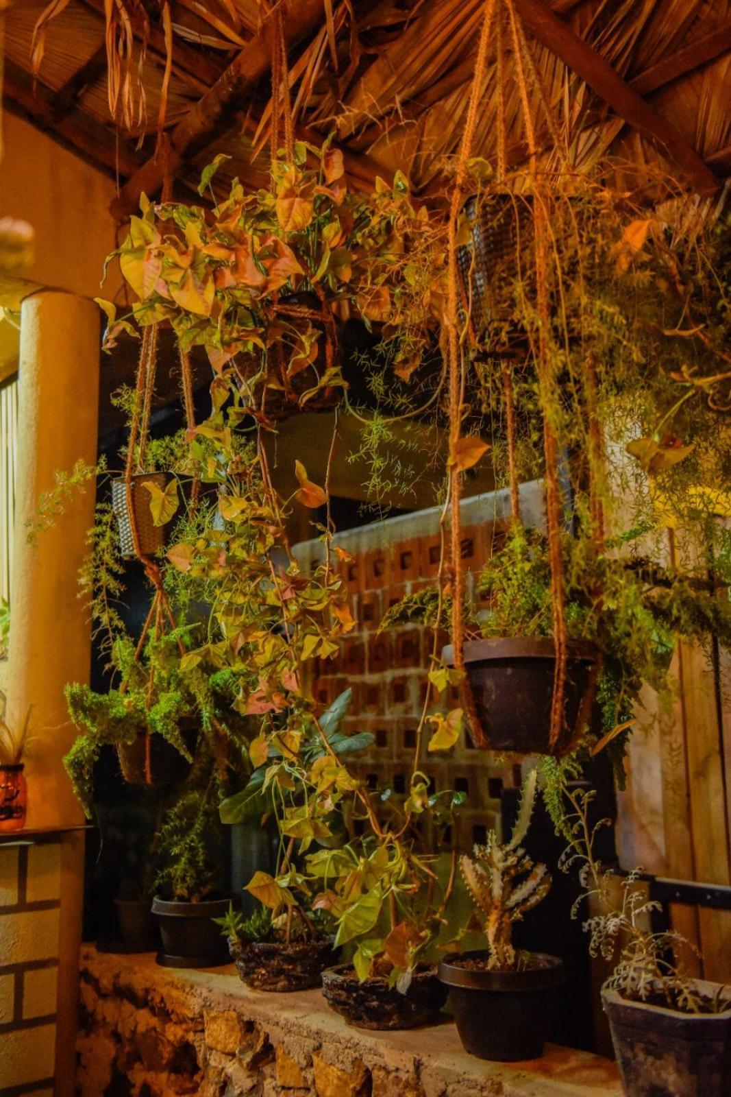 Hotel Ella Brown House Zewnętrze zdjęcie